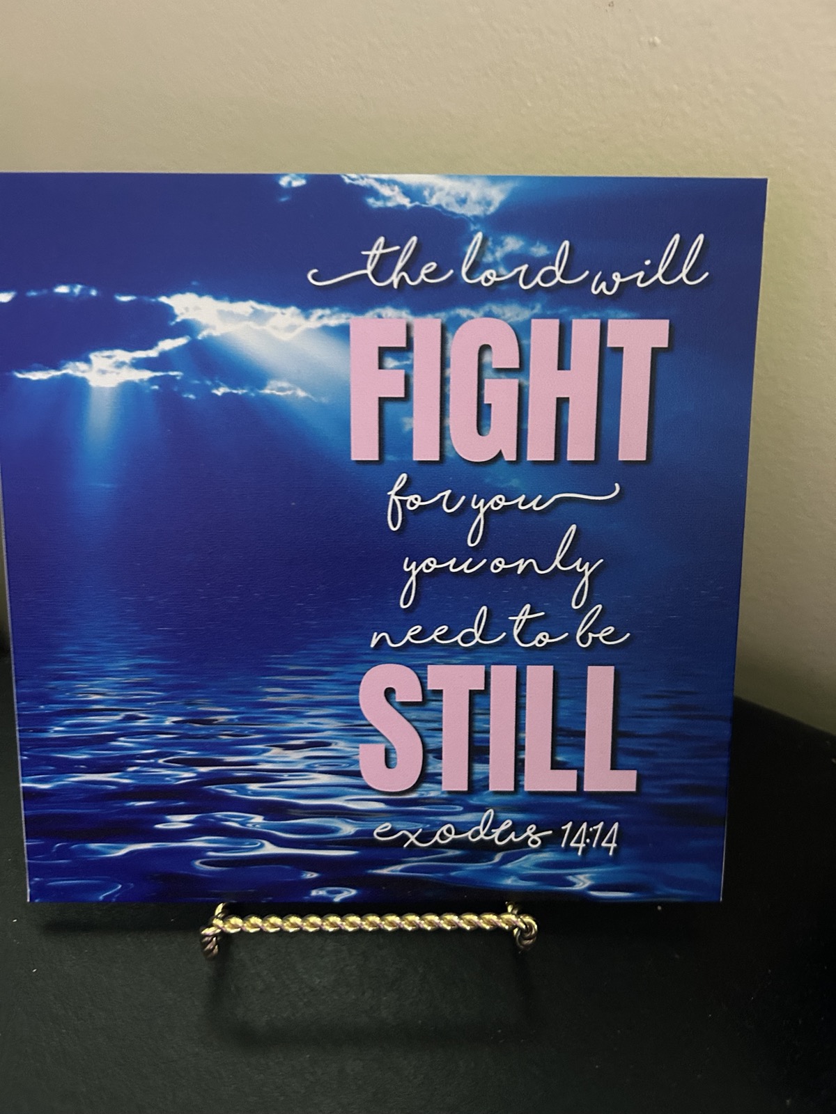 The Lord Will Fight for You Mini Canvas Sign | Exodus 14:14